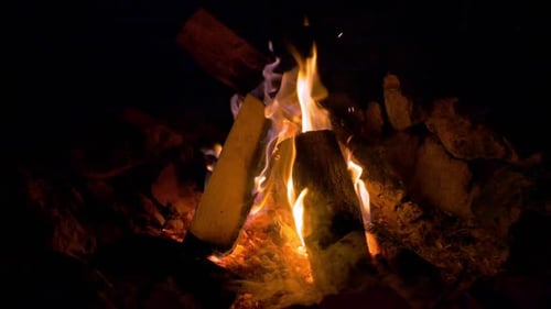 Firewood