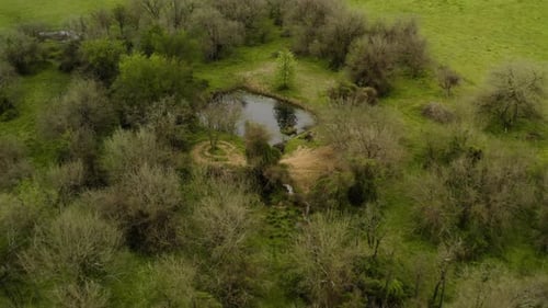 Aerial View Of Lush Farmland With Small Pond Outside Cherokee, Arkansas. drone pullback