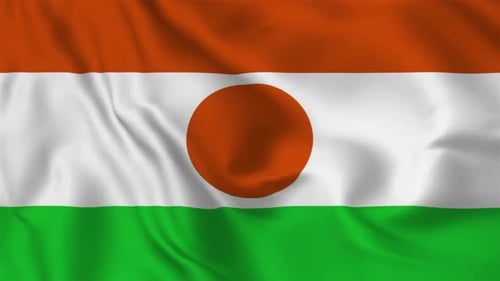 Niger National Flag Waving Loop Animation