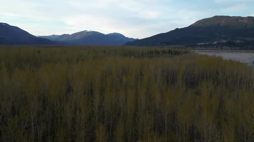 Aerial view of Trees, River and Mountain Landscape, Dusk. Summer season.