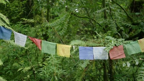 Buddhist Prayer Flags in the Rainforest, Colourful Buddhist Prayer Flags in Nature in Tropical Green