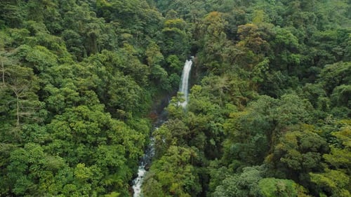Waterfall cascading through dense rainforest surrounded by lush green vegetation