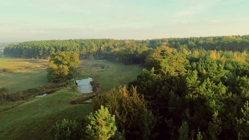 Drone View Of Green Summer Meadow And Trees