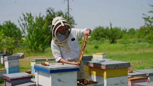 Ein erwachsener männlicher Imker mit Schutzhut steht auf seiner Bienenfarm.