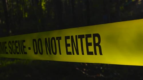 Crime scene tape stretched in forest with sunlight backlight