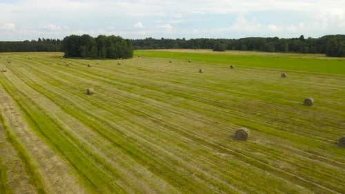 Aerial view of freshly made hay bales or rolls on a green and brown summer farm field at day time.