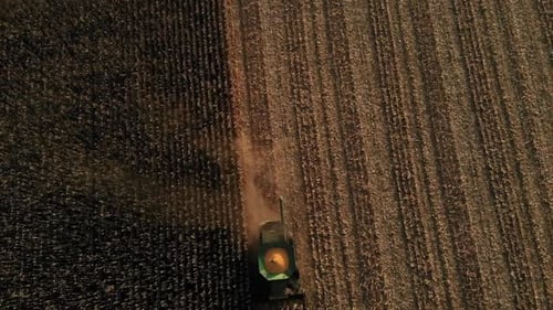 Combine Harvester on Corn Field During Autumn Harvest