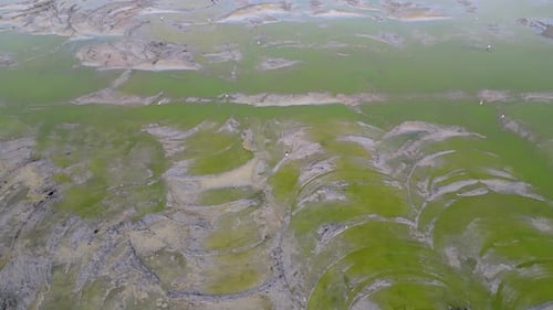 Aerial View of Green Marshland Pattern