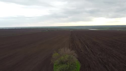 Blue tractor OA working on the field in Ukraine