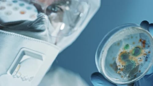 Scientist Wearing Respirator Mask, Coverall and Safety Glasses Looks at Petri Dishes with Bacteria,