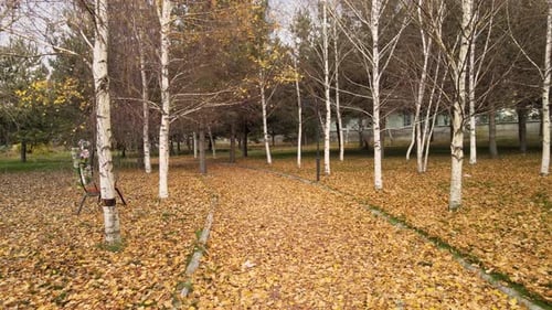 Herbstpark