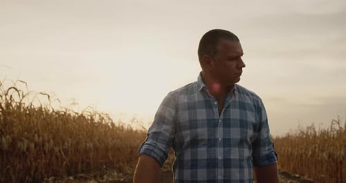 A Male Farmer Walks Along the Road Along the Fields of Corn