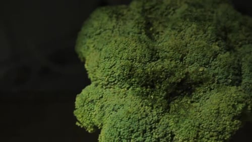 Pan right on healthy head of fresh green broccoli vegetable against black background