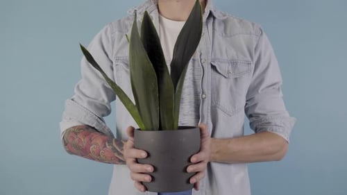 Tattooed Man Holding House Plant with Long Leaves in His Hands