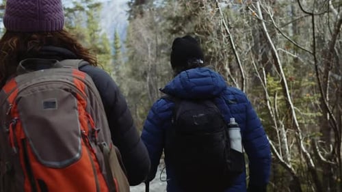 Of Couple Hing in Woods