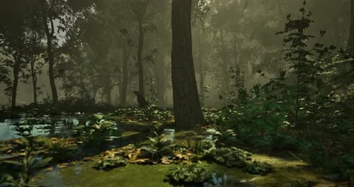 Mysterious Forest in Morning Light with Tranquil Water and Lush Greenery