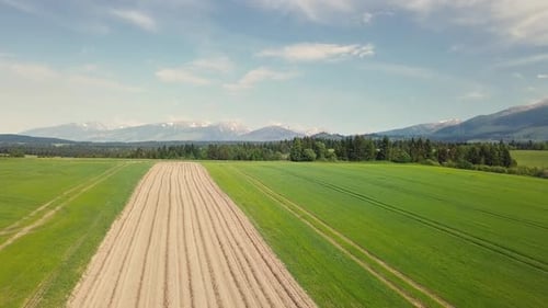 Aerial View of Field in Green Rural Farm Farmland in Spring Nature
