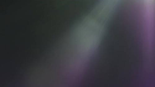 Lucent Warm Collection: Fading lens flare effect with a violet hue shot using a 50mm Prime lens