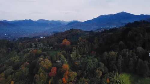 Tranquil Scenery of Batumi City and Famous Botanical Garden with Lush Autumn Trees