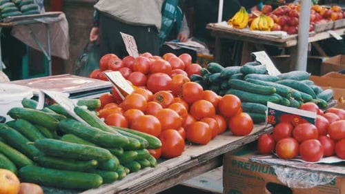 Fresh Vegetables on the Counter in the Store