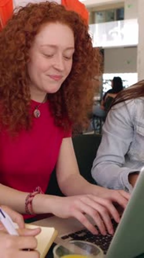 Young Group of Student People Studying Together at College Campus