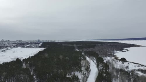 Dense Forest with Spruces Located Near Modern City in Winter