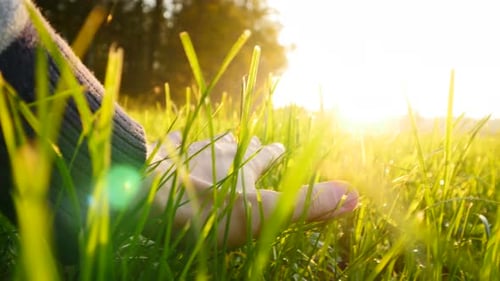 Person Touching Green Grass Field with Hand Feeling the Spring Time