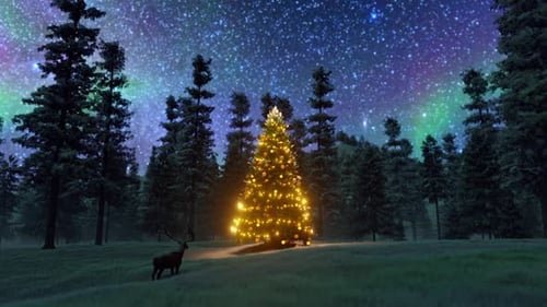 El ciervo y el árbol de Navidad bajo las luces de la aurora
