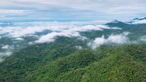 Video aerial view morning scenery Mist flowing over the high mountains.
