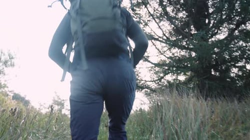 Back View of a Man Tourist with Backpack Hiking Along the Trail in the Forest