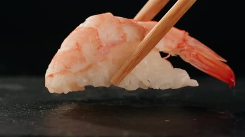Shrimp Prawn Sushi Sashimi Nigiri Platter Japanese Sushi Restaurant Fresh Tuna and Salmon Slices in