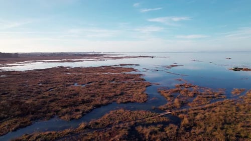 Beautiful massive lake and colorful wetlands, aerial drone shot