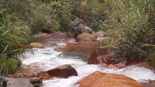 clear river water flowing in the mountains and green trees with a stretch of orange rocks