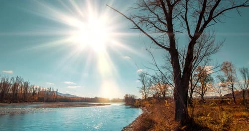 Mountain River Timelapse at the Summer or Autumn Day Time Wild Nature Clear Blue Water and Dry Trees