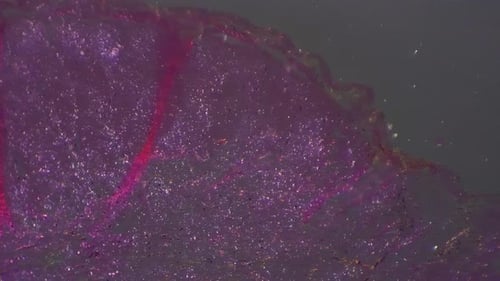Sparkly Purple Liquid Moving in Extreme Close Up