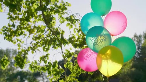 Multicolored Birtay Balloons in Sunny Park