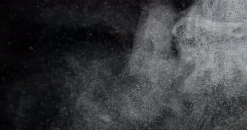 Organic Particles of Dust Flour Debris Flying on Black Background
