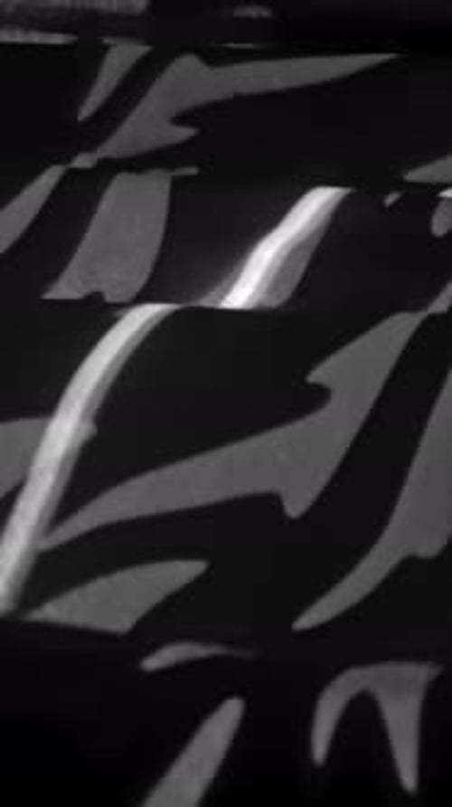 Abstract Zebra Pattern Texture in Black and White