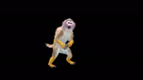 74 Bboy Uprock Monkey Dance 4K