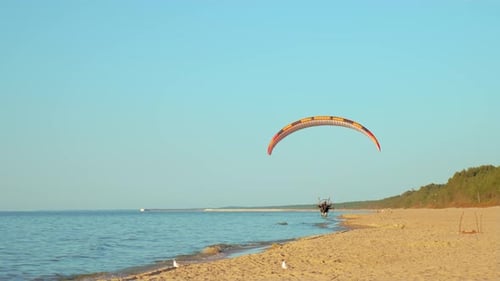 Man Flying Extreme Paraglider with Motor Above Sea Beach