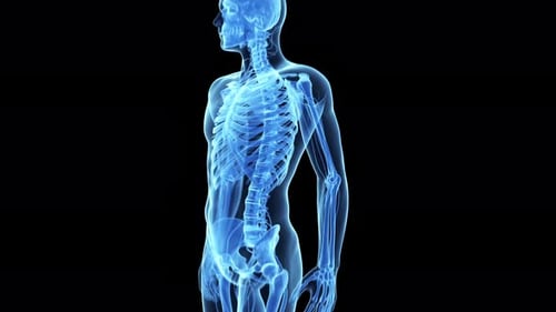 Human elbow joint inflammation highlighted in glowing blue skeletal medical animation
