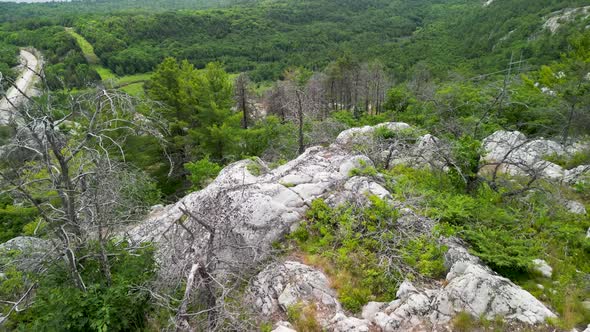 Aerial flyover vegetated mountaintop forest, Nature Stock Footage ft ...