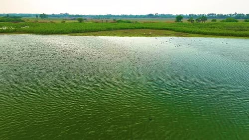 Pond - Aerial View - Backwards
