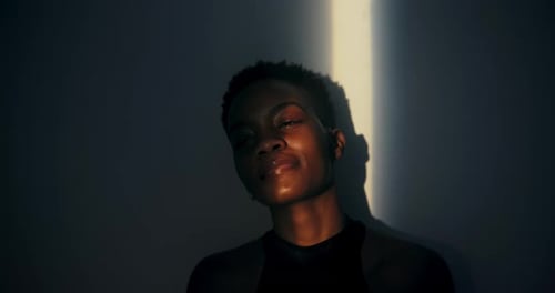 La muse d'une blogueuse de mode Le mannequin devient la muse d'une blogueuse de mode de premier plan qui a inspiré une série