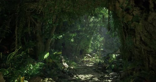 Lush Animated Forest Path with Sunbeams