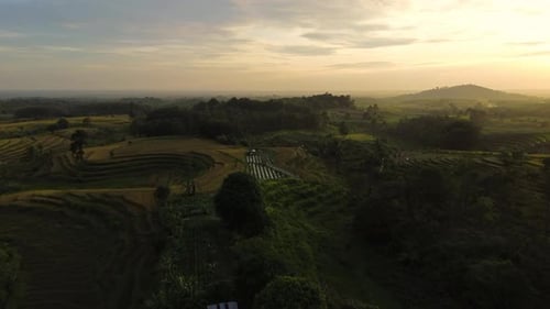 Beautiful morning view indonesia Panorama Landscape paddy fields with beauty color and sky natural