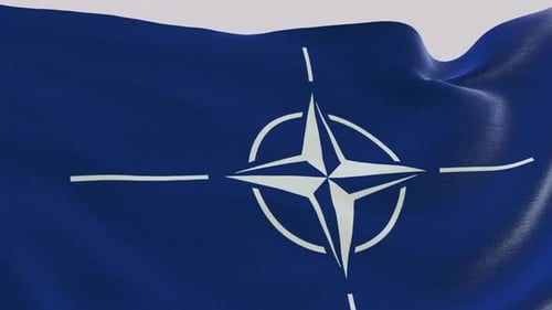 Nato Fabric Flag