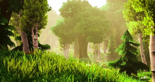Lush Green Forest with Sunlight Filtering Through Trees in a Tranquil Setting