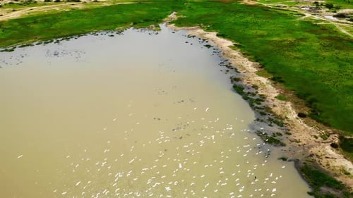 Aerial View of Lake and Green Countryside