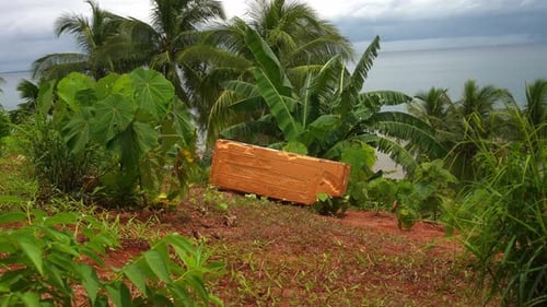 A wider shot of an orange styrofoam block on a red soil earth amid tropical growth, its presence a
